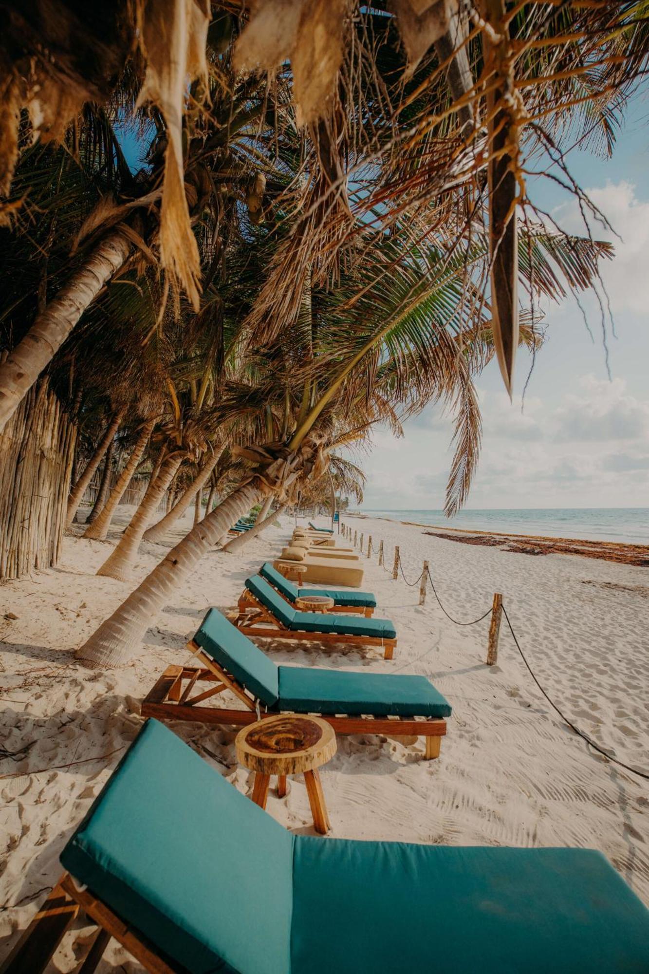 Apartamento Luxury With Balcony And Rooftop Pool In Location Tulum